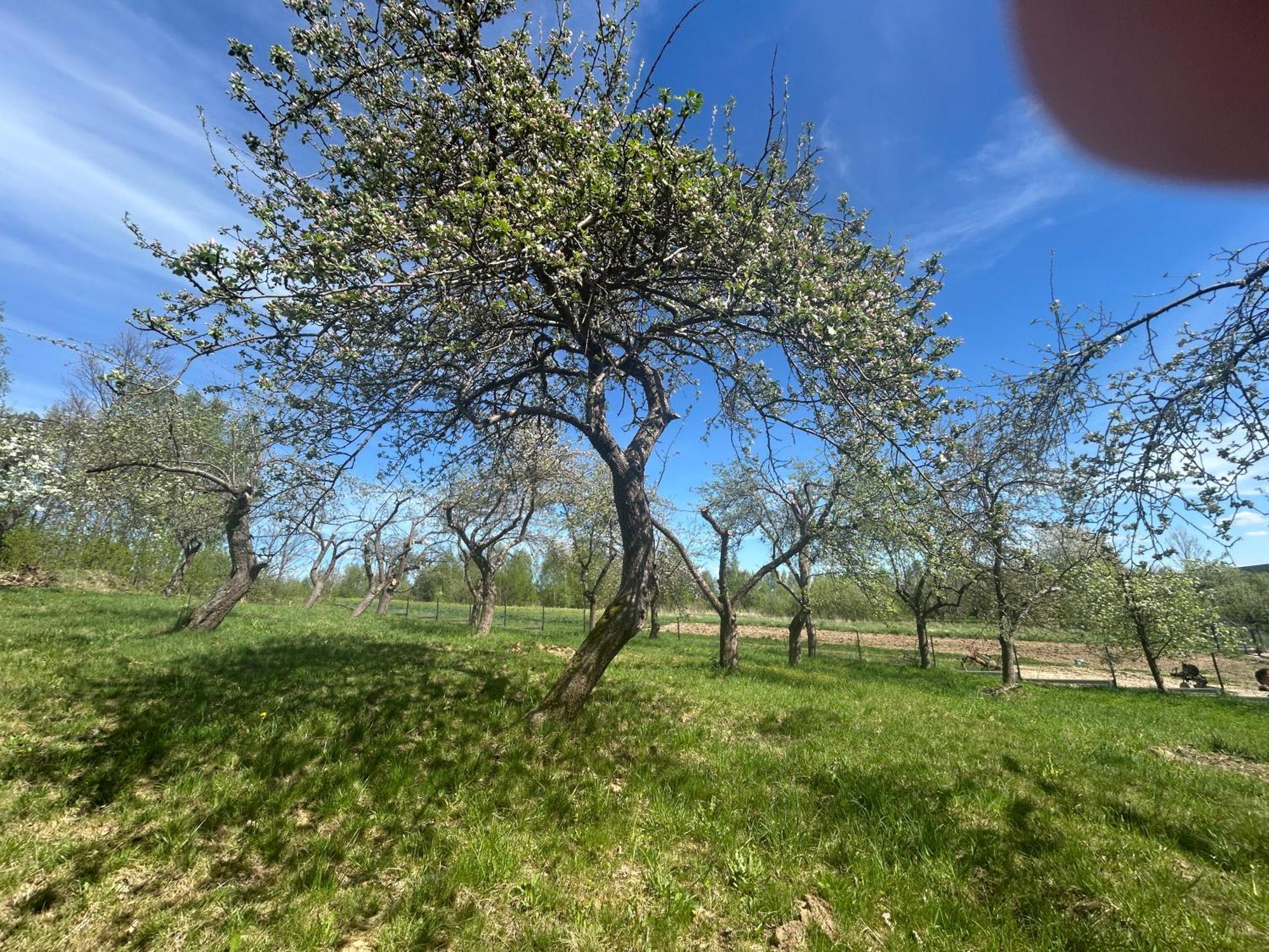 Swietokrzyski Klimacik Bodzentyn Exteriér fotografie